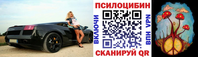 Галлюциногенные грибы ЛСД  Северобайкальск 
