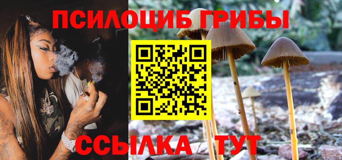 Галлюциногенные грибы Psilocybe  Вход с VPN  Северобайкальск 