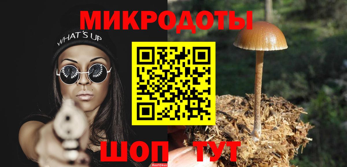Галлюциногенные грибы MAGIC MUSHROOMS Северобайкальск